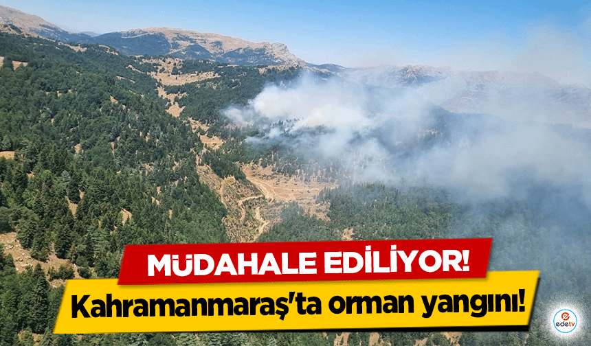 Kahramanmaraş'ta orman yangını! Müdahale ediliyor!