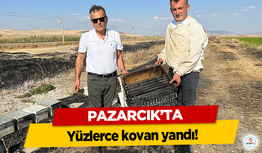 Pazarcık’ta yüzlerce kovan yandı!