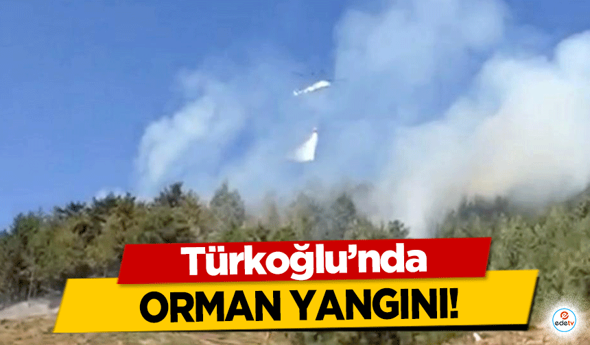 Türkoğlu’nda orman yangını!