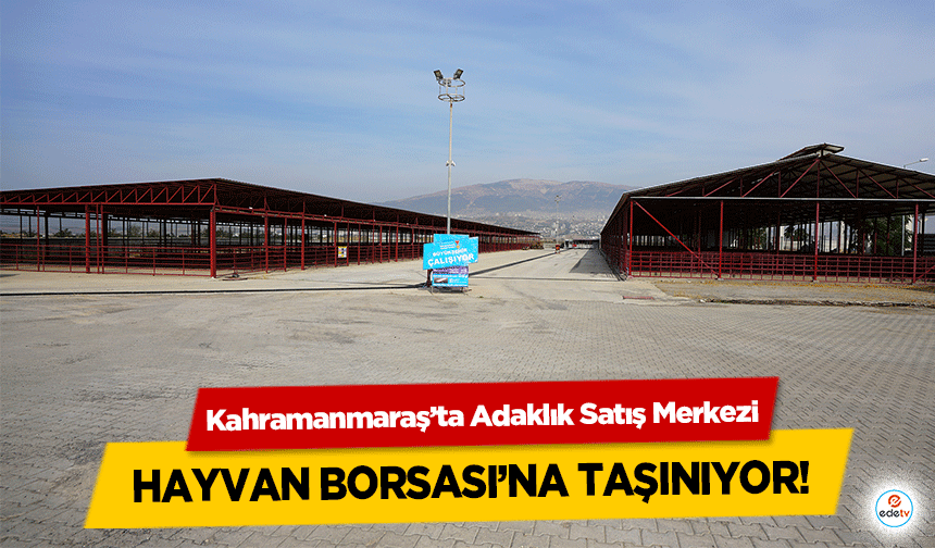 Kahramanmaraş’ta Adaklık Satış Merkezi Hayvan Borsası’na taşınıyor!