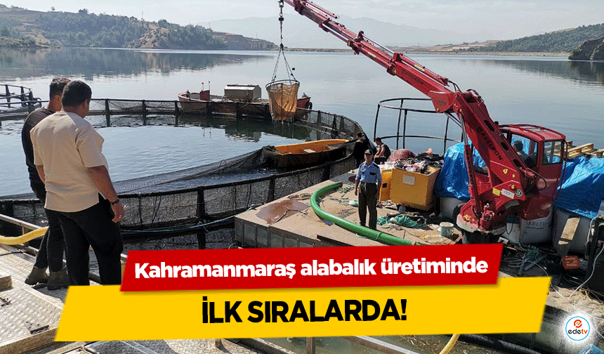 Kahramanmaraş alabalık üretiminde ilk sıralarda