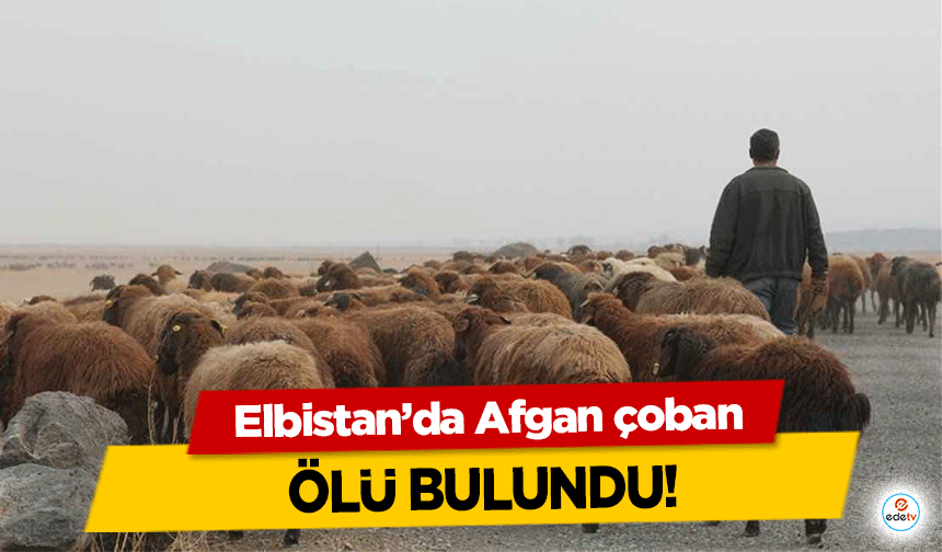 Elbistan’da Afgan çoban ölü bulundu!