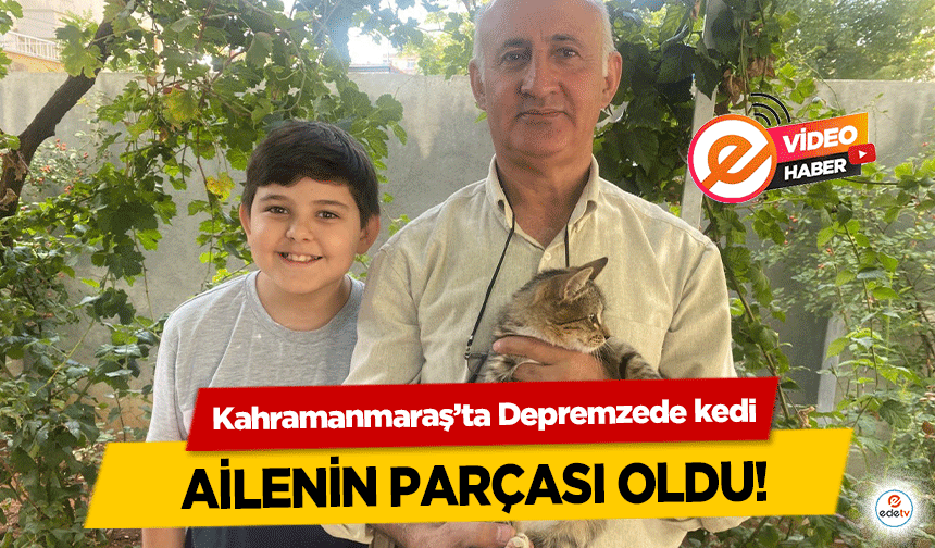 Kahramanmaraş’ta Depremzede kedi ailenin parçası oldu!