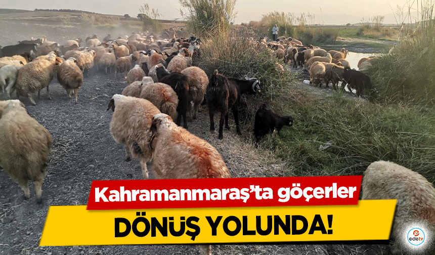 Kahramanmaraş’ta göçerler dönüş yolunda!