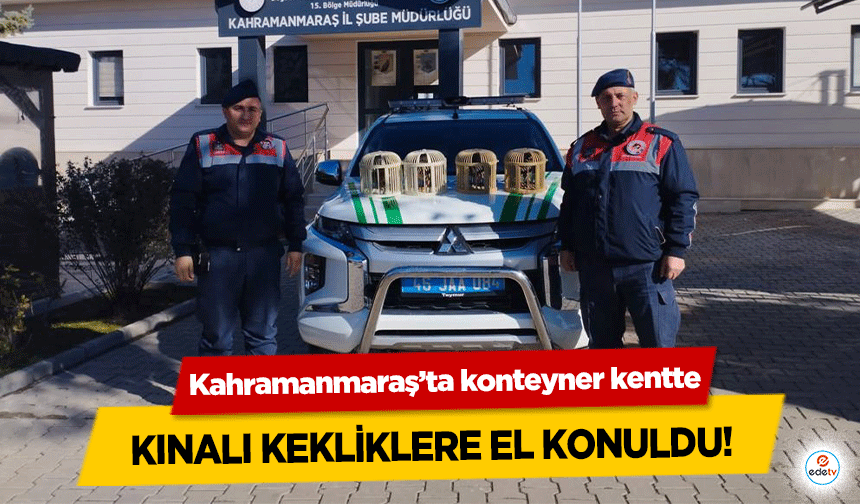 Kahramanmaraş’ta konteyner kentte kınalı kekliklere el konuldu!