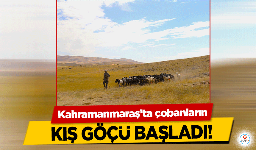 Kahramanmaraş’ta çobanların kış göçü başladı!       