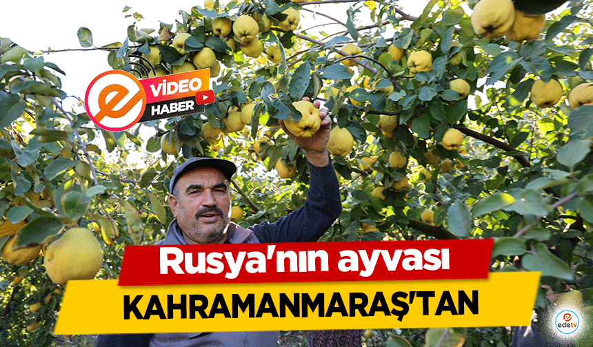 Rusya'nın ayvası Kahramanmaraş'tan