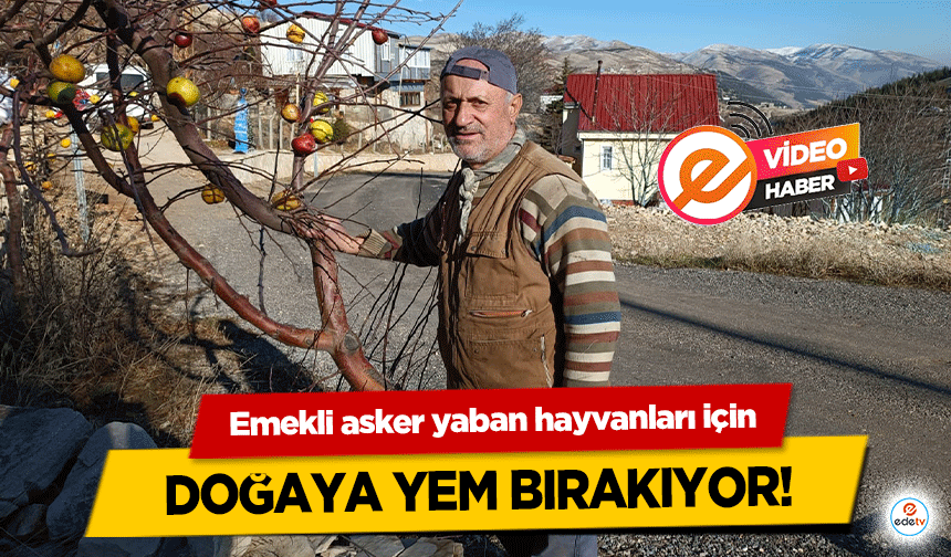 Emekli asker yaban hayvanları için doğaya yem bırakıyor