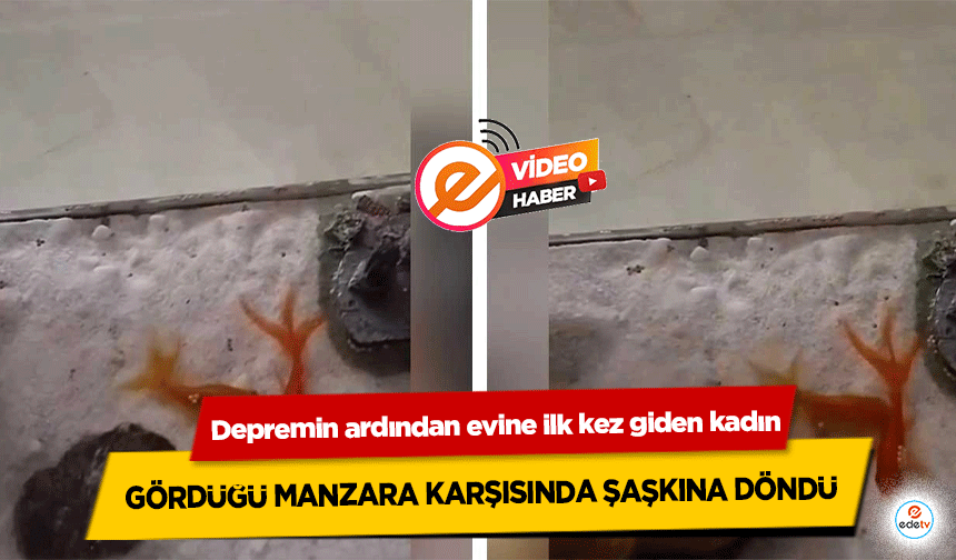 Depremin ardından evine ilk kez giden kadın gördüğü manzara karşısında şaşkına döndü