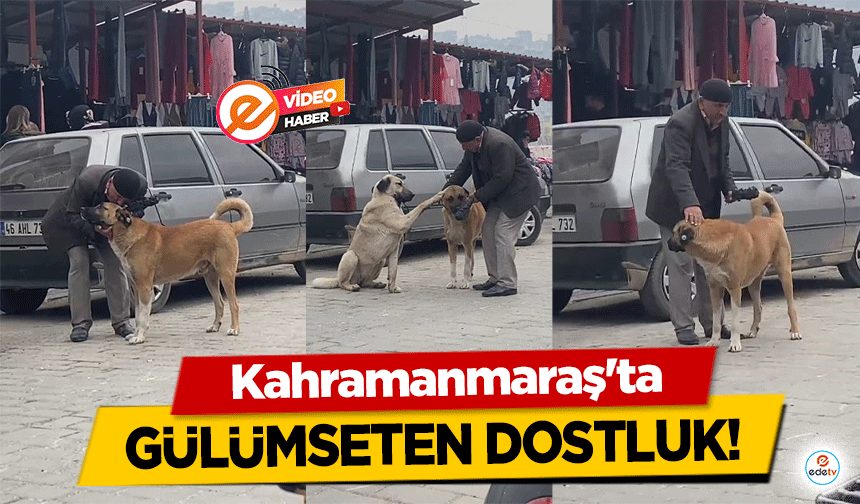 Kahramanmaraş’ta gülümseten dostluk!