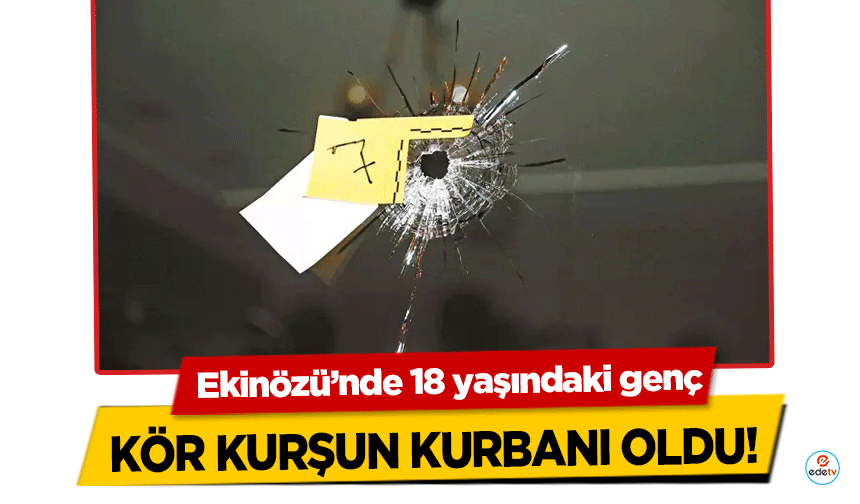 Ekinözü’nde 18 yaşındaki genç kör kurşun kurbanı oldu! 