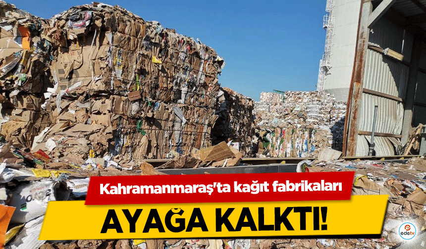 Kahramanmaraş'ta kağıt fabrikaları ayağa kalktı!