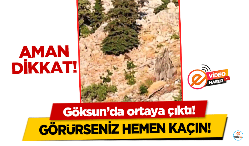 Aman dikkat, Göksun’da ortaya çıktı! Görürseniz hemen kaçın!