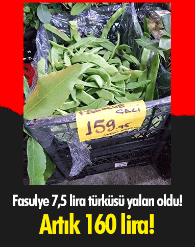 ‘Fasulye 7,5 lira’ türküsü yalan oldu! Artık 160 lira!