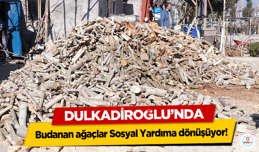 Dulkadiroğlu’nda Budanan ağaçlar Sosyal Yardıma dönüşüyor!