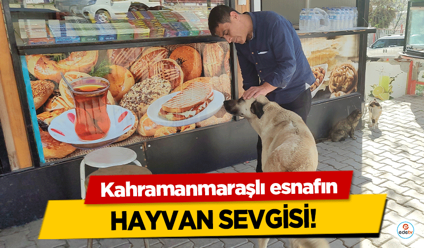 Kahramanmaraşlı esnafın hayvan sevgisi!