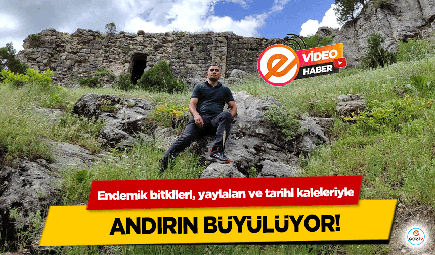 Endemik bitkileri, yaylaları ve tarihi kaleleriyle Andırın büyülüyor!