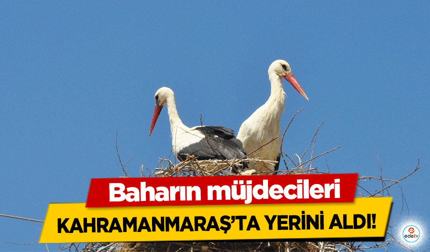 Baharın müjdecileri Kahramanmaraş’ta yerini aldı!