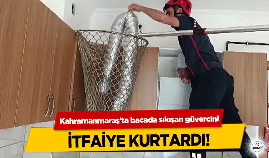 Kahramanmaraş’ta bacada sıkışan güvercini itfaiye kurtardı