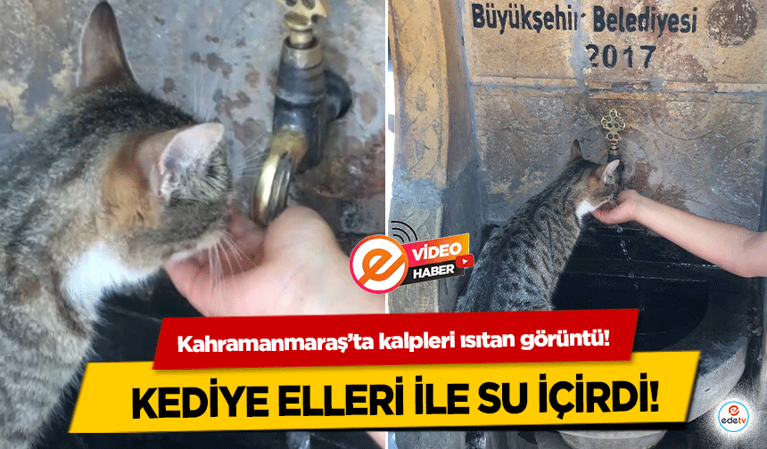 Kahramanmaraş’ta kalpleri ısıtan görüntü! Kediye elleri ile su içirdi!