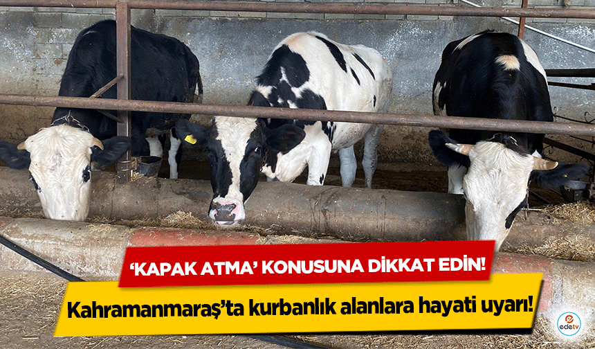 Kahramanmaraş’ta kurbanlık alanlara hayati uyarı! ‘Kapak atma’ konusuna dikkat edin!