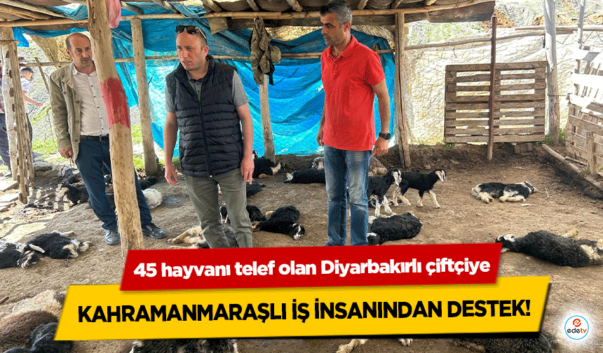 45 hayvanı telef olan Diyarbakırlı çiftçiye Kahramanmaraşlı iş insanından destek!