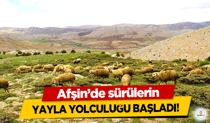 Afşin’de sürülerin yayla yolculuğu başladı!