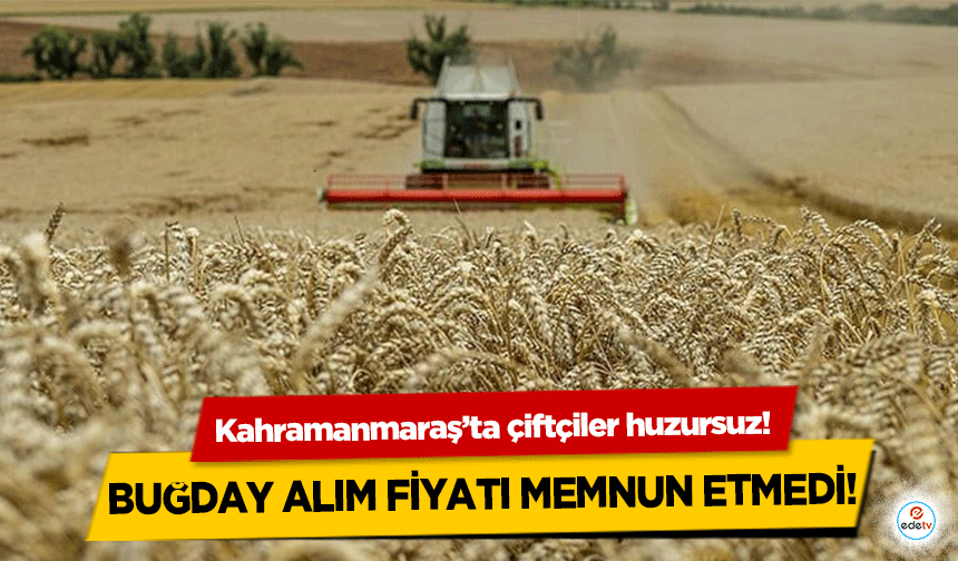 Kahramanmaraş’ta çiftçiler huzursuz!  Buğday alım fiyatı memnun etmedi!