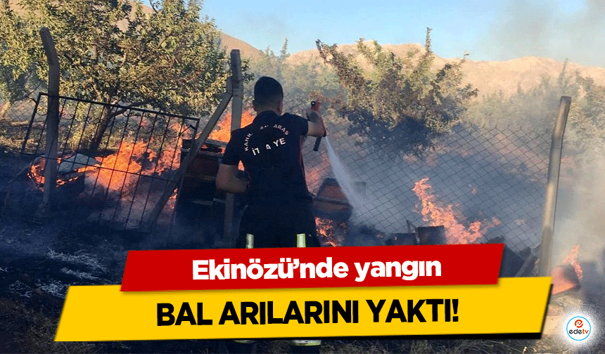 Ekinözü’nde yangın bal arılarını yaktı!