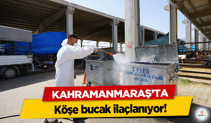 Kahramanmaraş’ta köşe bucak ilaçlanıyor!