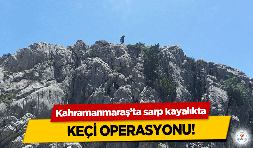 Kahramanmaraş’ta sarp kayalıkta keçi operasyonu!