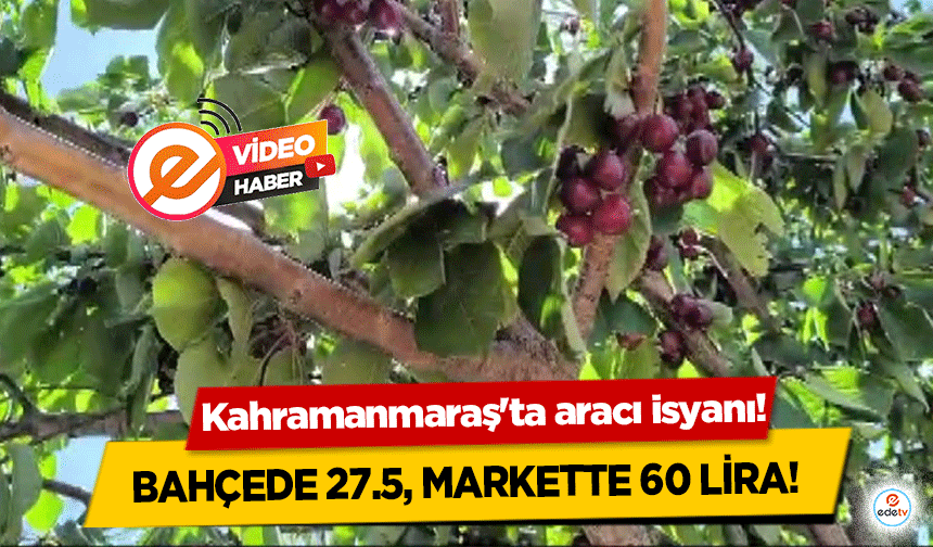 Kahramanmaraş'ta aracı isyanı! Bahçede 27.5, markette 60 lira!