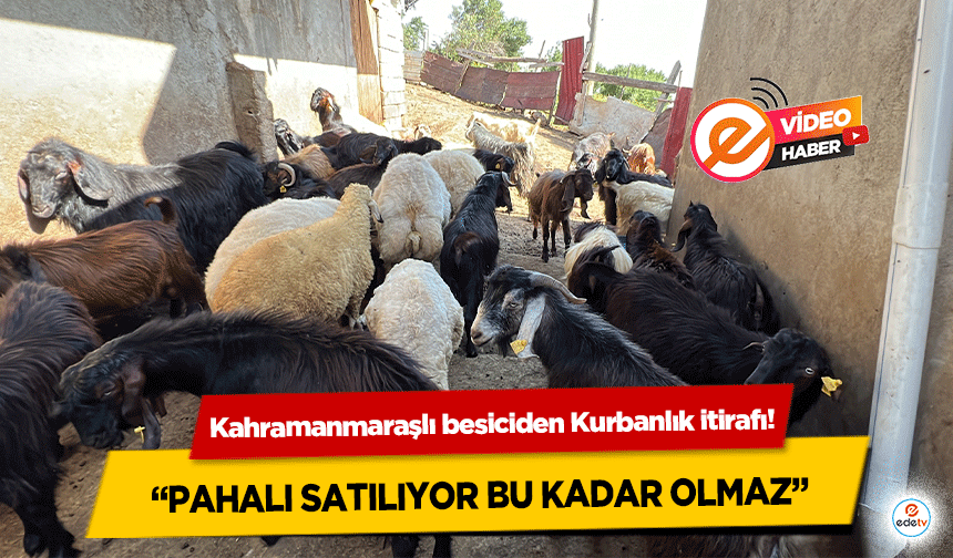 Kahramanmaraşlı besiciden Kurbanlık itirafı! “Pahalı satılıyor bu kadar olmaz”