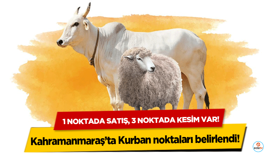 Kahramanmaraş’ta Kurban noktaları belirlendi! 1 noktada satış, 3 noktada kesim var!