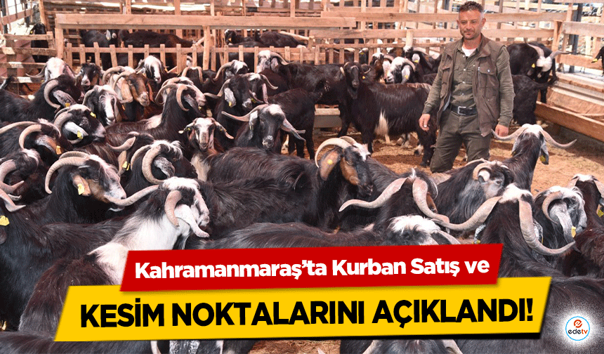 Kahramanmaraş’ta Kurban Satış ve kesim noktalarını açıklandı!