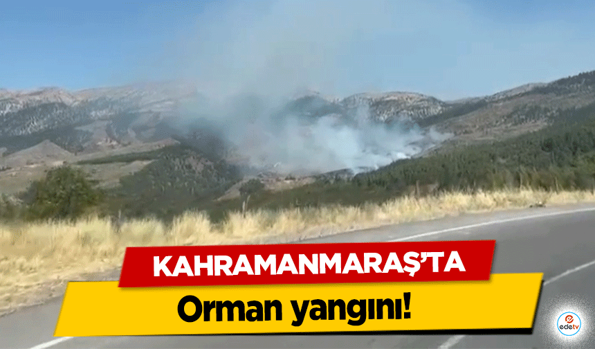 Kahramanmaraş’ta orman yangını!