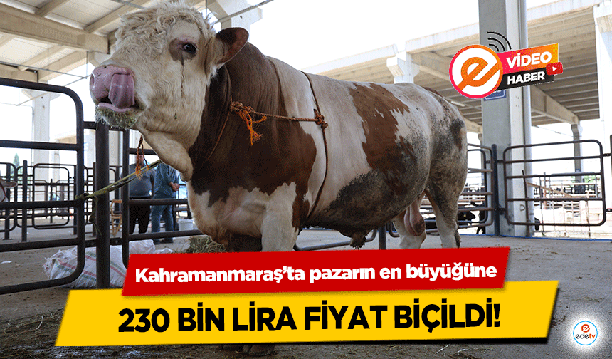 Kahramanmaraş’ta pazarın en büyüğüne 230 bin lira fiyat biçildi!