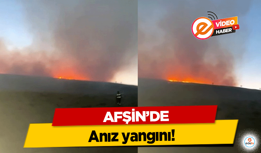 Afşin'de anız yangını!