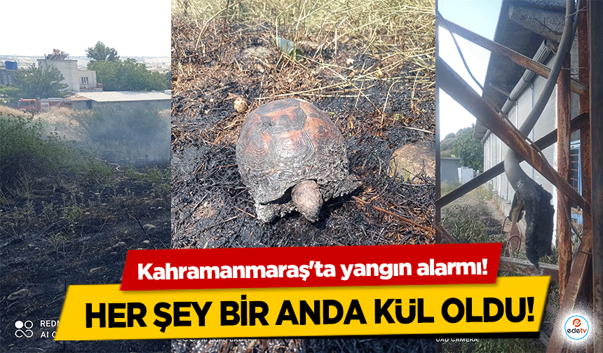 Kahramanmaraş'ta yangın alarmı! Her şey bir anda kül oldu!