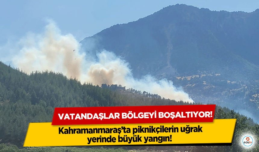 Kahramanmaraş’ta piknikçilerin uğrak yerinde büyük yangın! Vatandaşlar bölgeyi boşaltıyor!