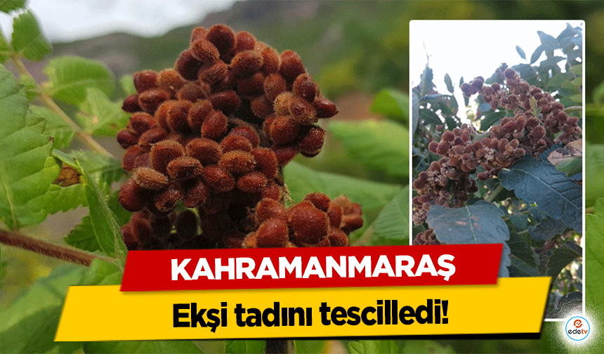 Kahramanmaraş ekşi tadını tescilledi!