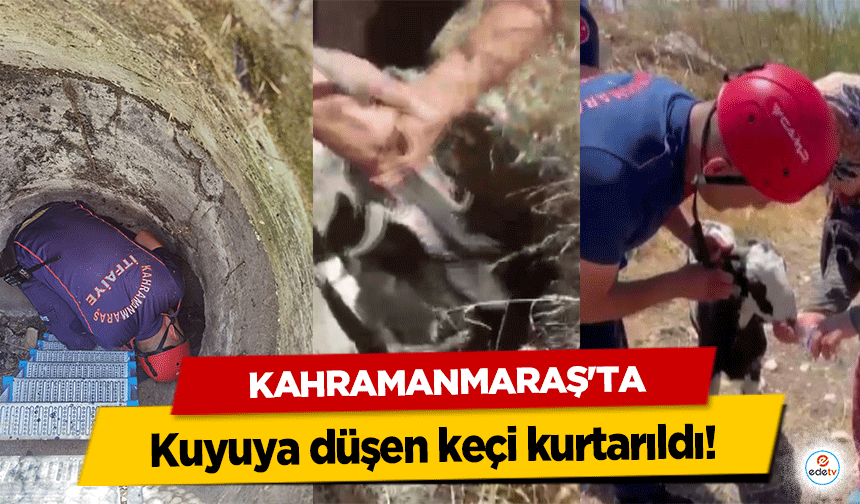 Kahramanmaraş’ta kuyuya düşen keçi kurtarıldı!