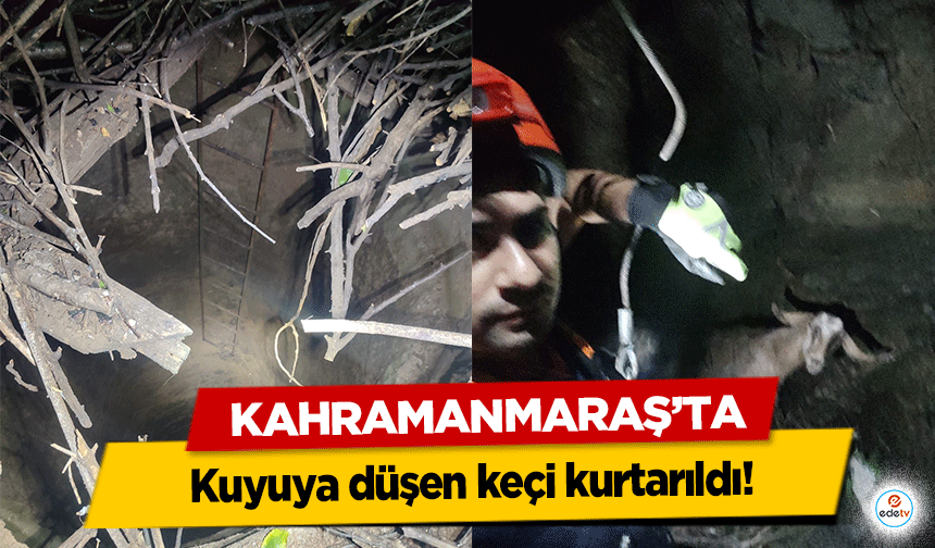 Kahramanmaraş’ta kuyuya düşen keçi kurtarıldı!