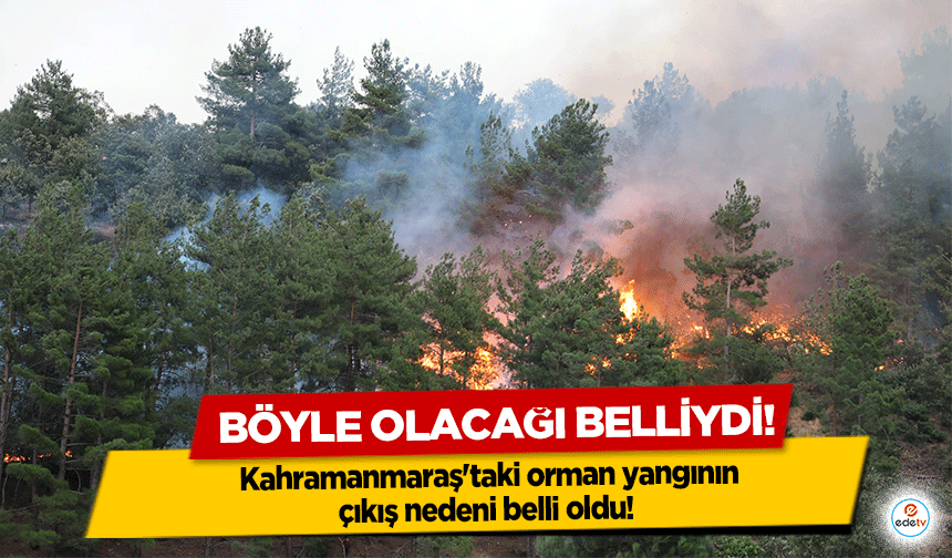 Kahramanmaraş'taki orman yangının çıkış nedeni belli oldu!