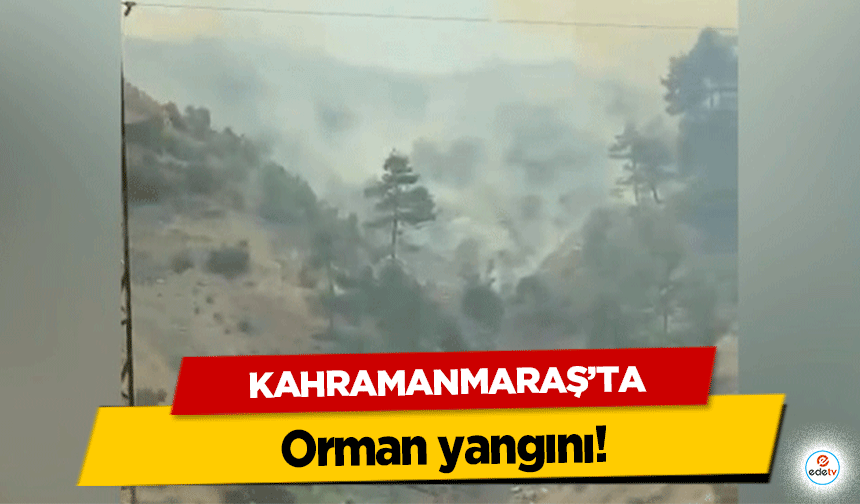 Kahramanmaraş’ta orman yangını!