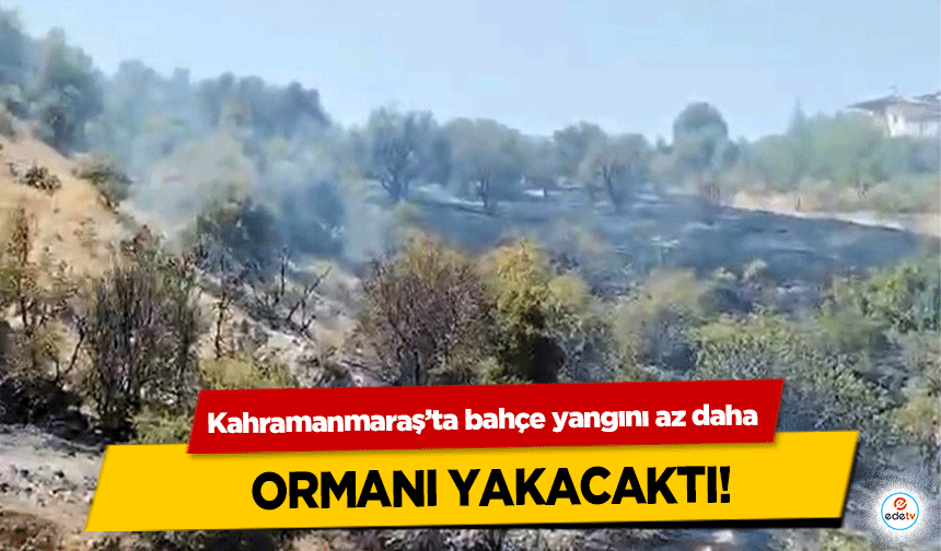 Kahramanmaraş’ta bahçe yangını az daha ormanı yakacaktı!