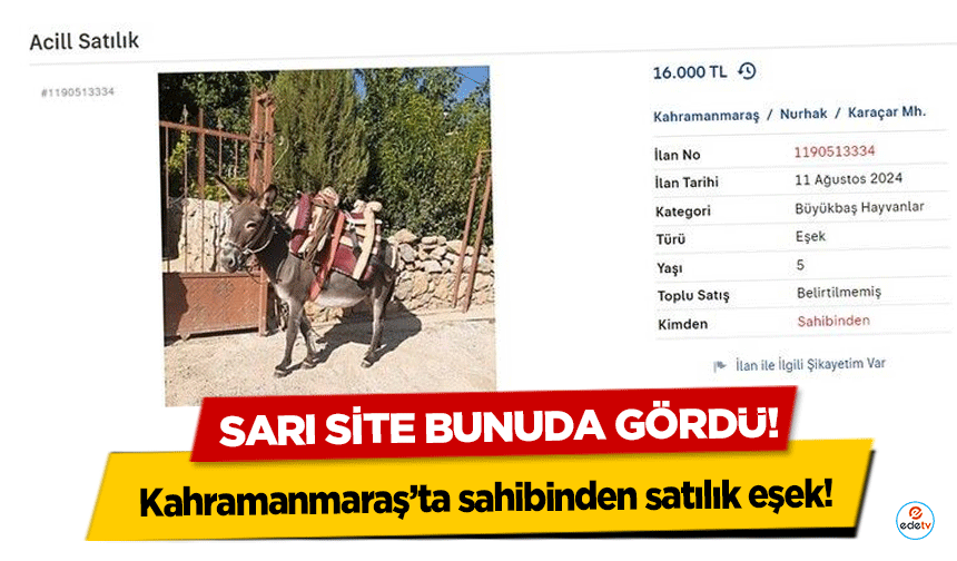 Kahramanmaraş’ta sahibinden satılık eşek!