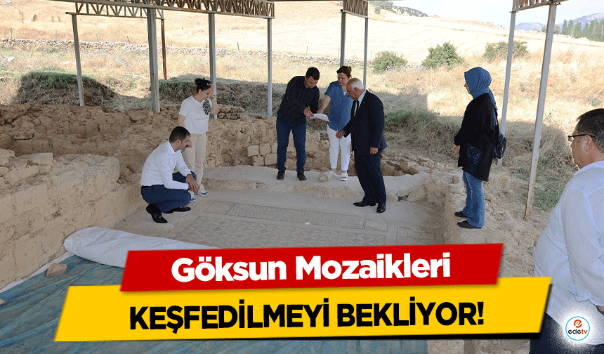 Göksun Mozaikleri keşfedilmeyi bekliyor!