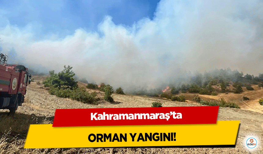 Kahramanmaraş'ta orman yangını!