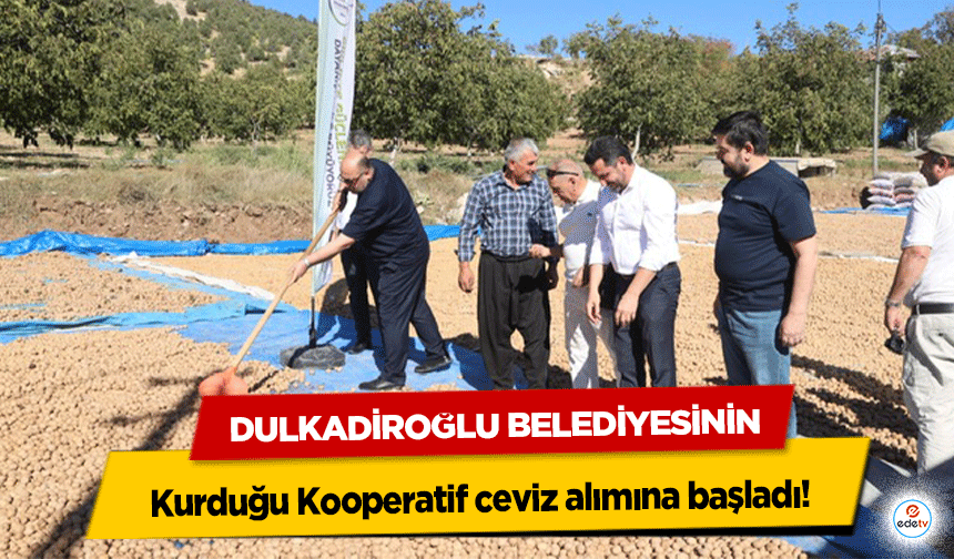 Dulkadiroğlu Belediyesinin kurduğu Kooperatif ceviz alımına başladı!